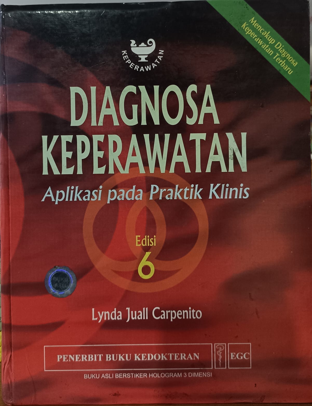 DIAGNOSA KEPERAWATAN Aplikasi Pada Praktik Klinis Edisi 6