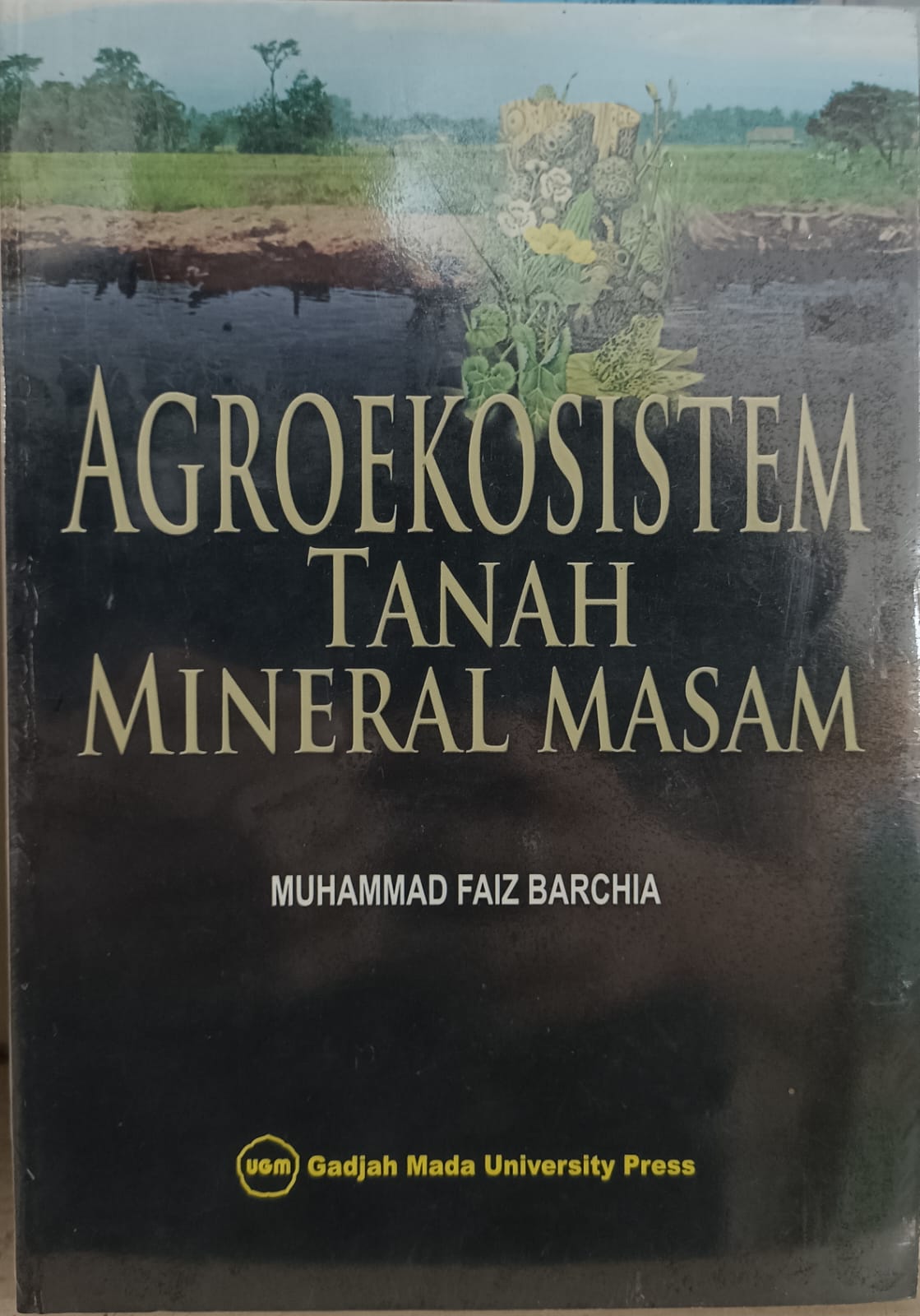 AGROEKOSISTEM TANAH MINERAL MASAM